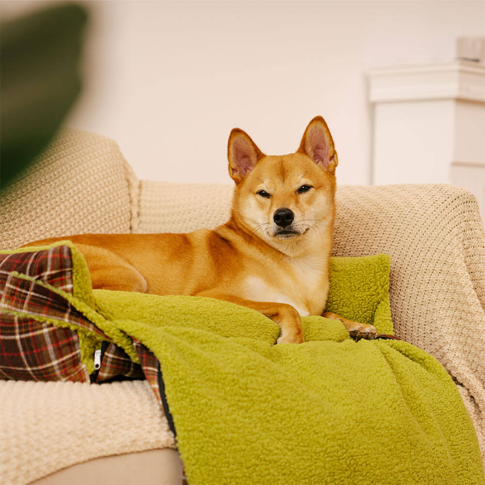 Cama plegable para perros con manta y diseño vintage de tartán lavable - Avocuddle