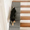 Escaleras de rampa para perros de espuma modular para escaleras de escalera con velcro