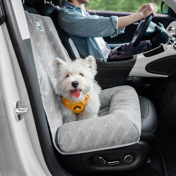 Dog relaxing in car bed during travel