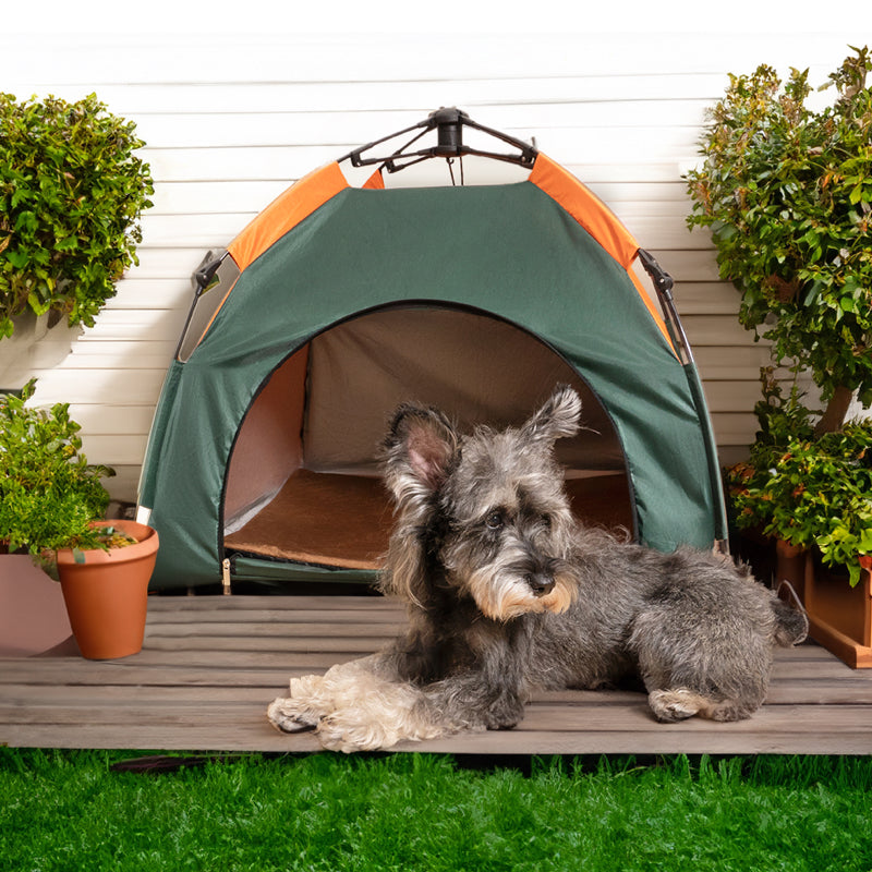 Tragbares, faltbares Campingzelt für Hunde und Katzen im Freien