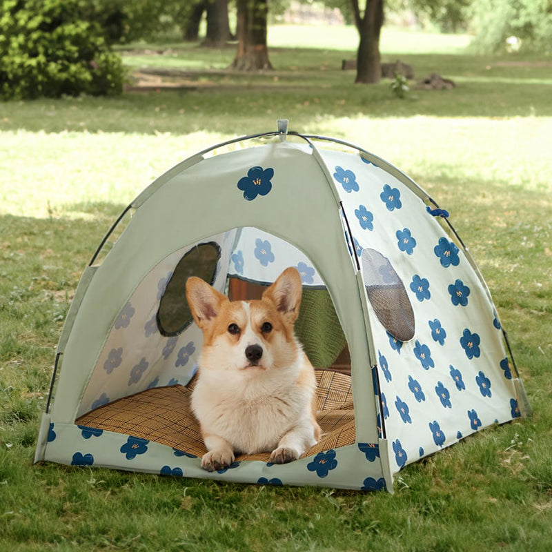 Lit de tente pour animaux de compagnie de tente de chat de dôme de fleur bleue