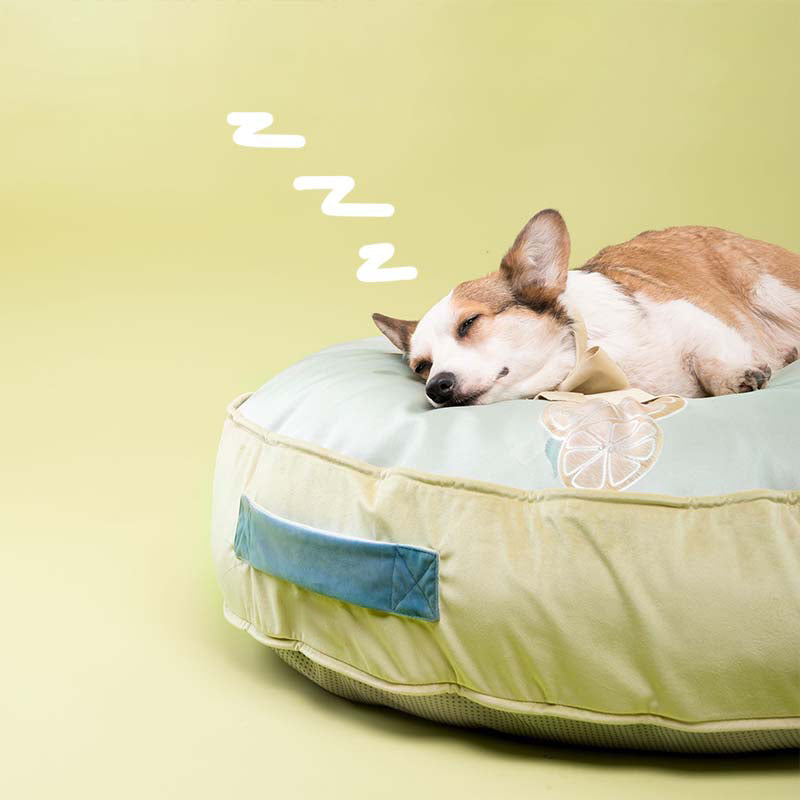 Soft Round Velvet Ice Silk Cooling Dog Bed