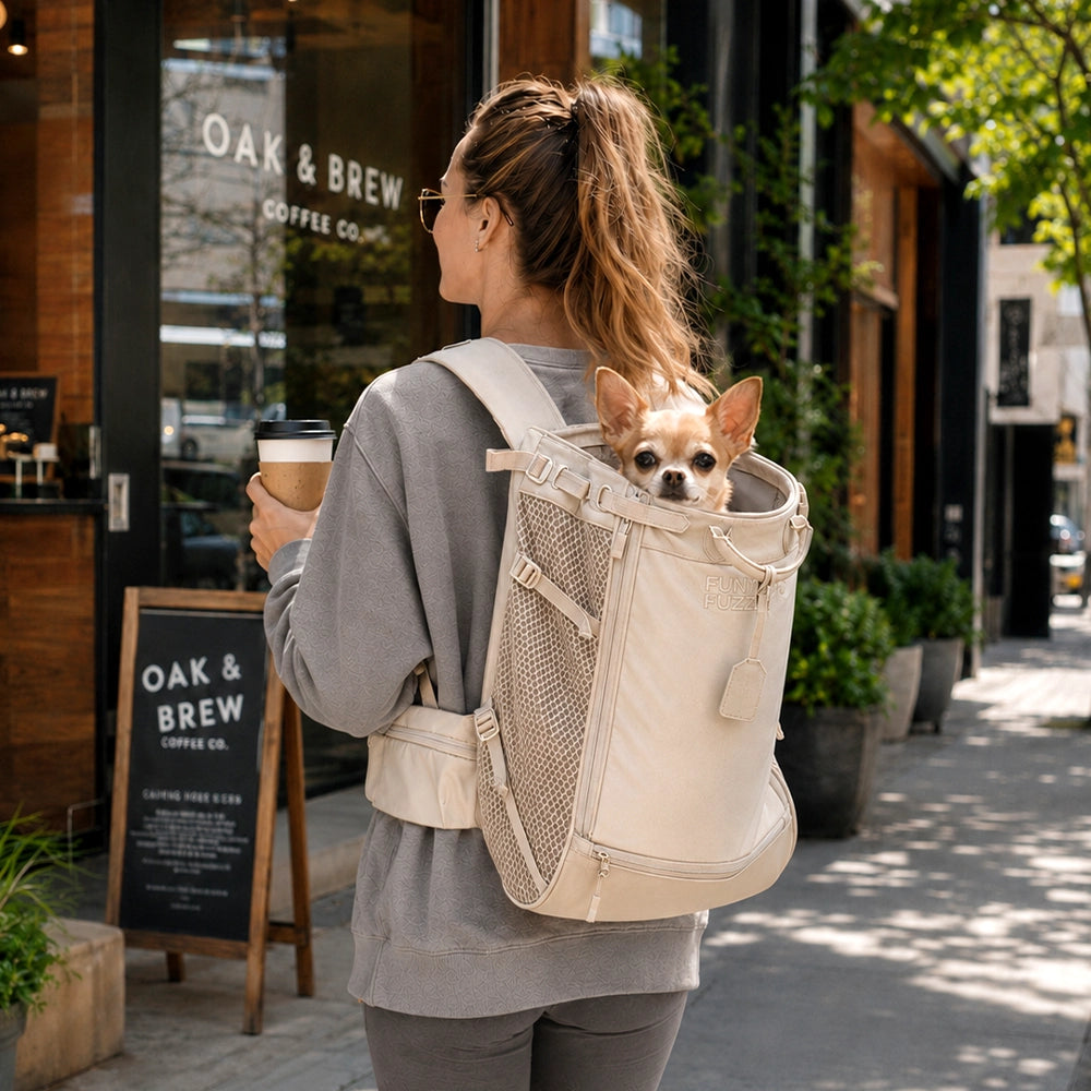 Dog Carrier Backpacks Dog Rucksack Dog Bike Carrier  - Urban Roaming