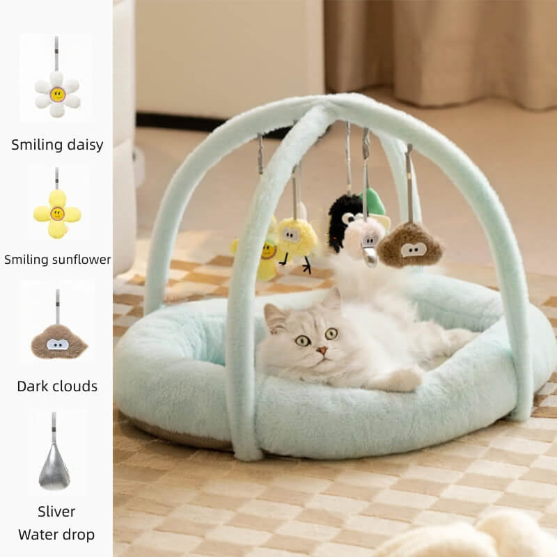 Cat toys hot sale and beds