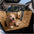 Dormitorio móvil Extensor de asiento de asiento trasero de cobertura completa de Bedroom Mobile - Ideal para viajar y acampar