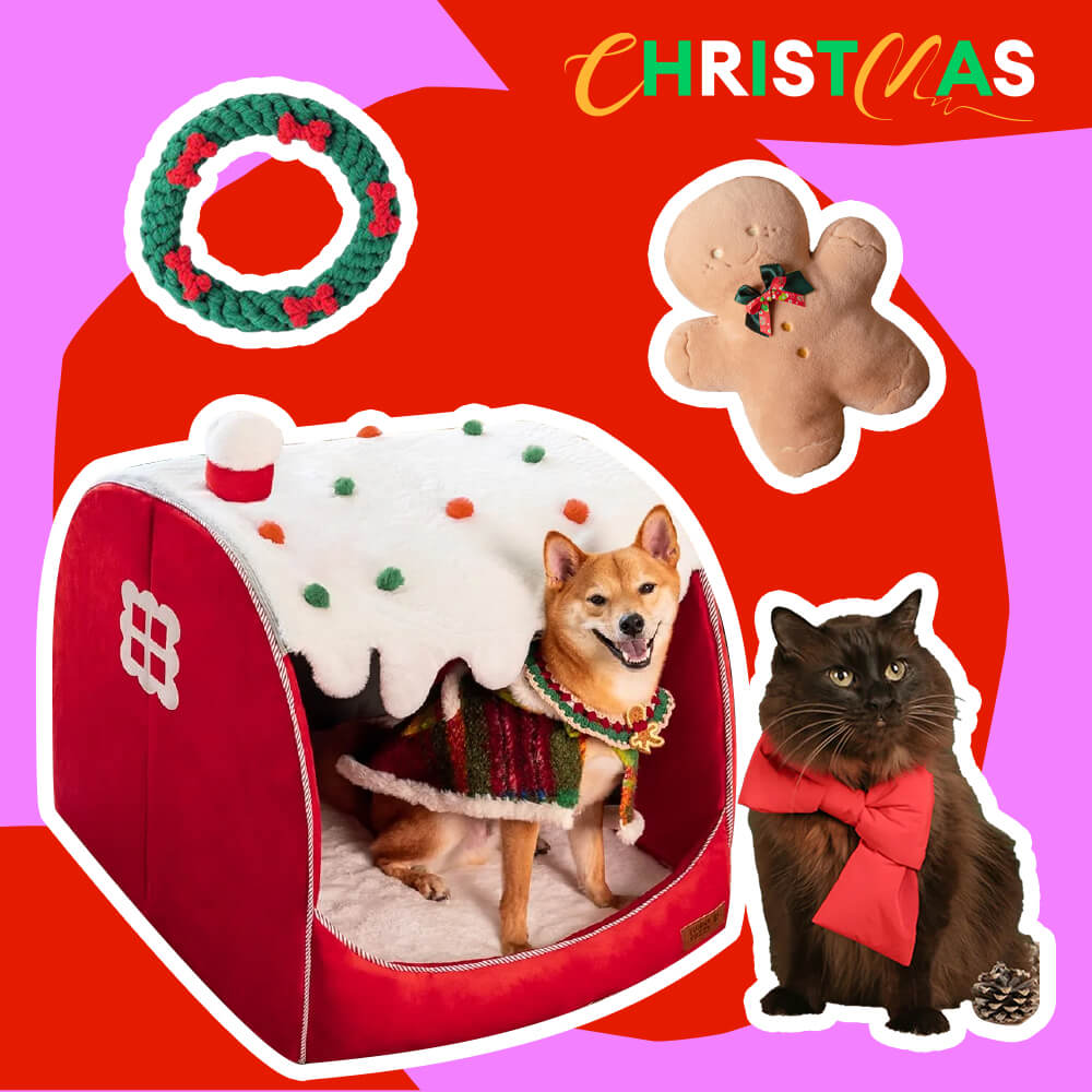 Snow House Pet Bed - Gift Bundle 4pcs