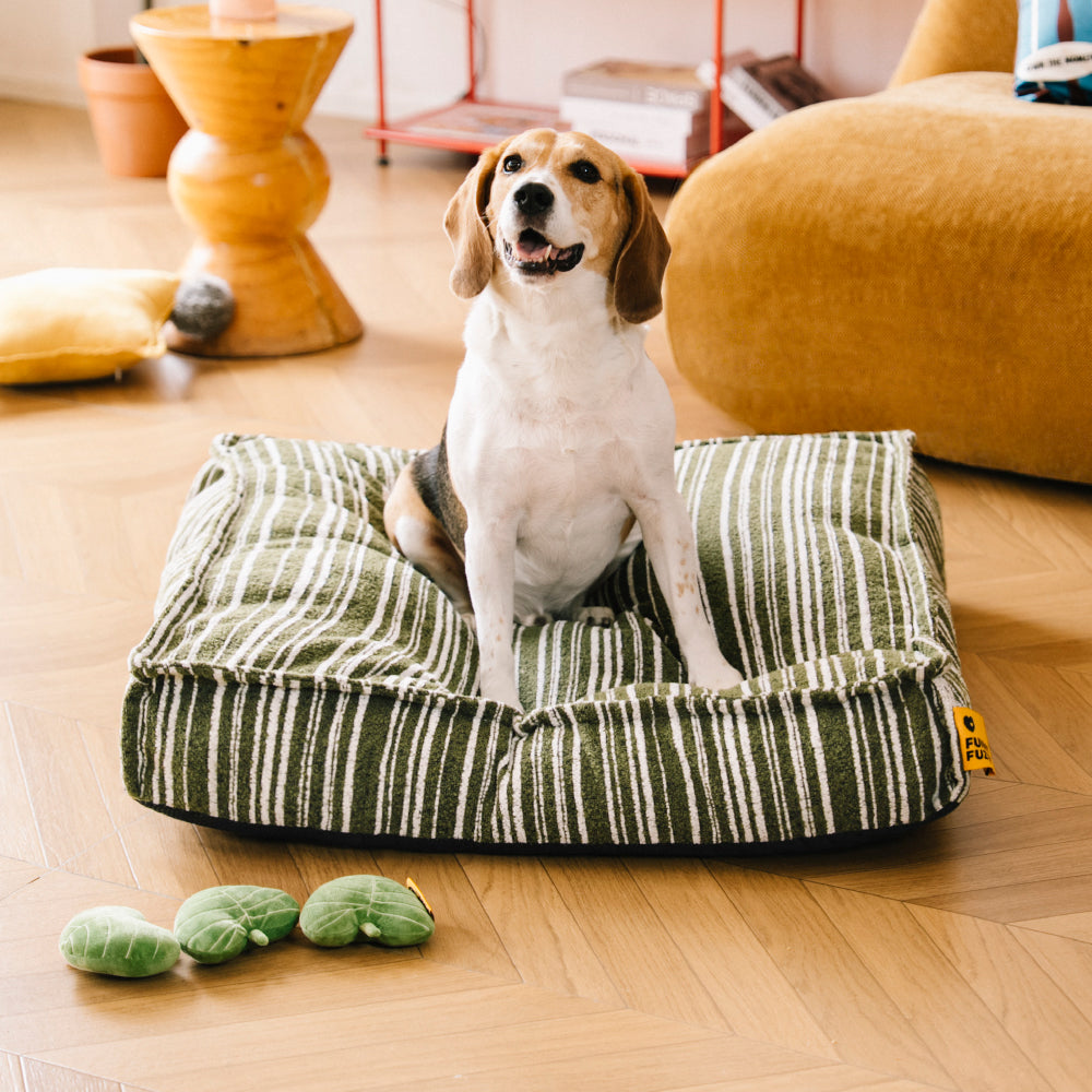 Sustainable Storage Pouf Ottoman & Dog Bed - Funnyfuzzy SnugNest