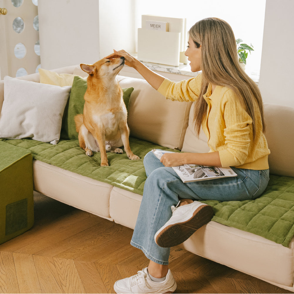 Scratch-proof All-season Stain-resistant  Couch Cover Mat - Retro