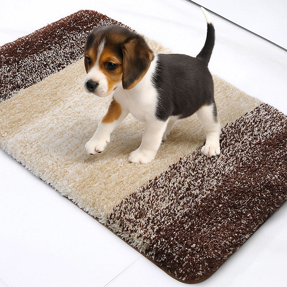 Thick Absorbent Non-Slip Quick-Dry Door Mat for Pets & Muddy Paws