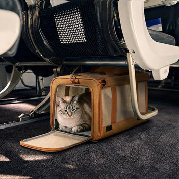 Airline Approved Portable Breathable Expandable Large-Capacity Cat Carrier Bag - Travel Nest
