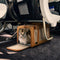 Airline Approved Portable Breathable Expandable Large-Capacity Cat Carrier Bag - Travel Nest
