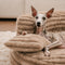 Ultra-Soft Ribbed Plush Removable Donut Orthopedic Dog Bed with Pillows - Cozy Nest