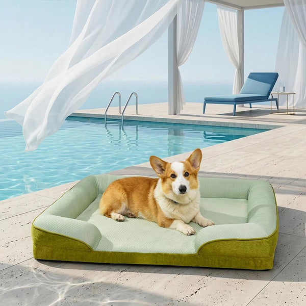 Cooling Orthopedic Washable Large Dog Sofa Bed - Outdoor