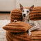 Ultra-Soft Ribbed Plush Removable Donut Orthopedic Dog Bed with Pillows - Cozy Nest