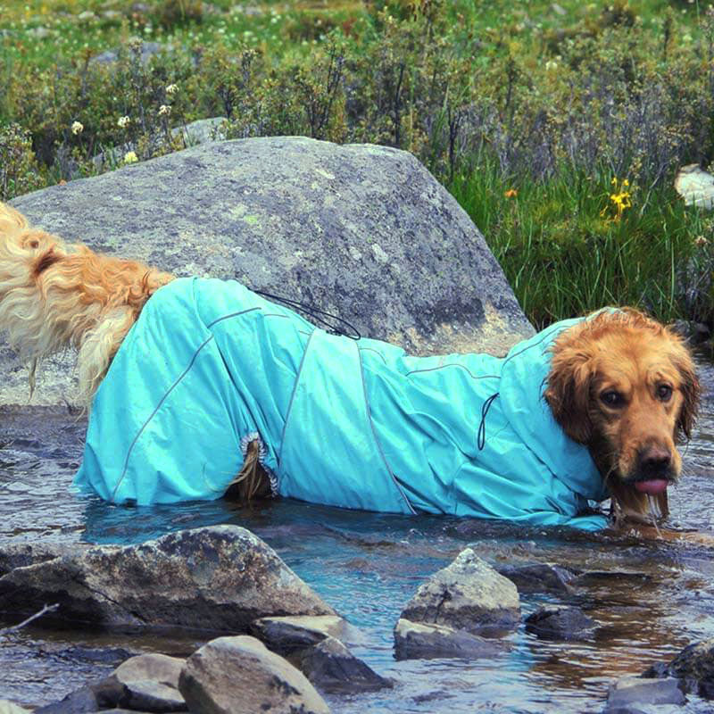 Veste d'extérieur pour grand chien, manteau de pluie imperméable et réglable pour chien