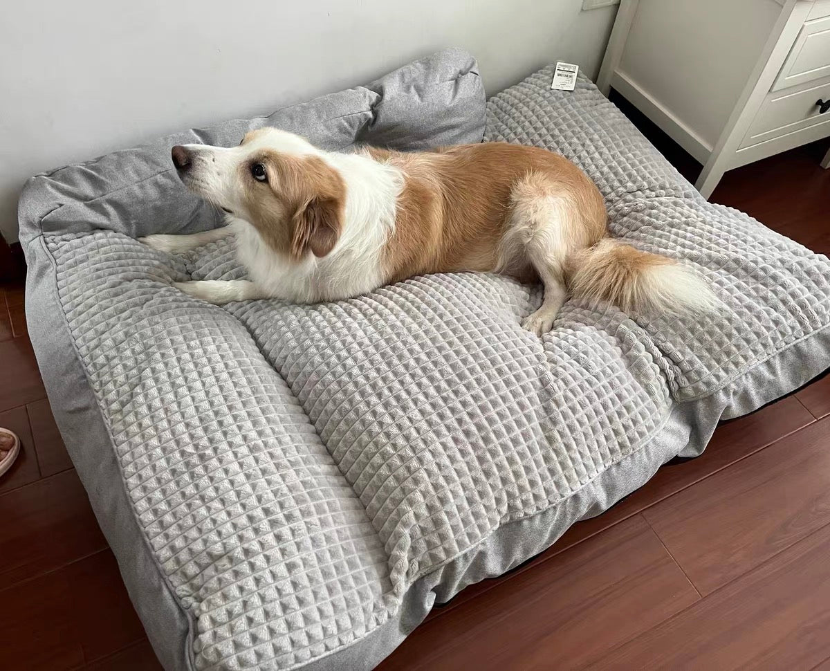 Dog bed built in blanket best sale