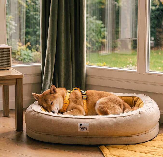 Snuggle Into Fall