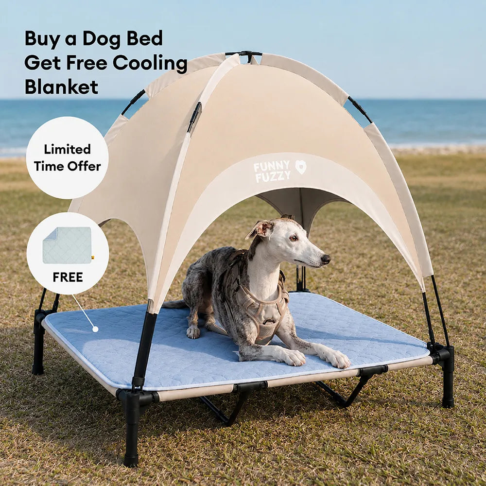 Breathable Cooling Elevated Dog Bed With Cooling Blanket