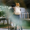 Dog Carrier Backpacks Dog Rucksack Dog Bike Carrier  - Urban Roaming