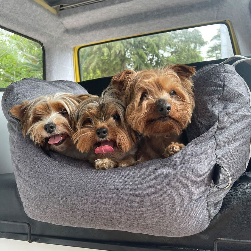 Cama de assento de carro para cachorro e cachorrinho de segurança para viagens - Primeira classe