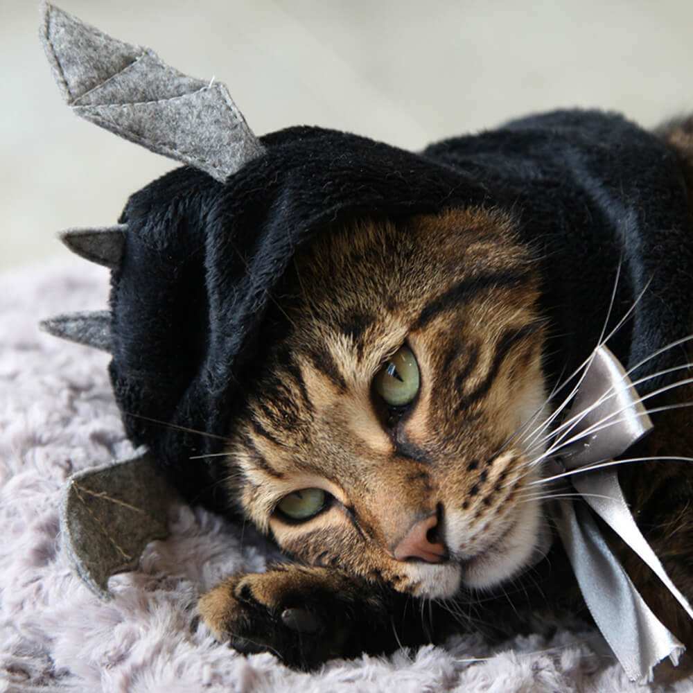 Sombrero para mascota disfraz de Halloween de murciélago unicornio flamenco