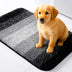 Thick Absorbent Non-Slip Quick-Dry Door Mat for Pets & Muddy Paws