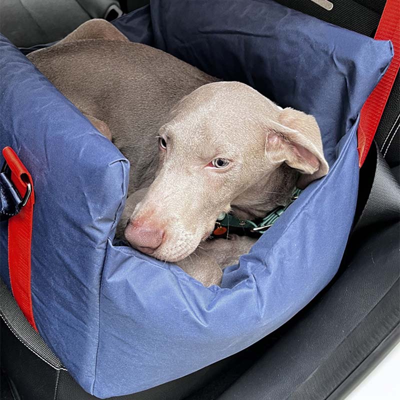Assento de carro dianteiro para animais de estimação em tecido Oxford removível Cachorro Cama de assento de carro
