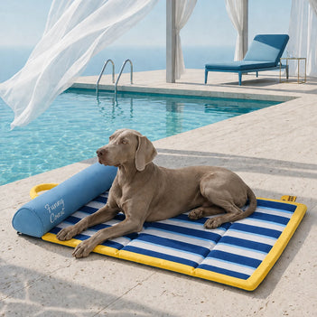 Portable Cooling Dog Mat - Chill Nest