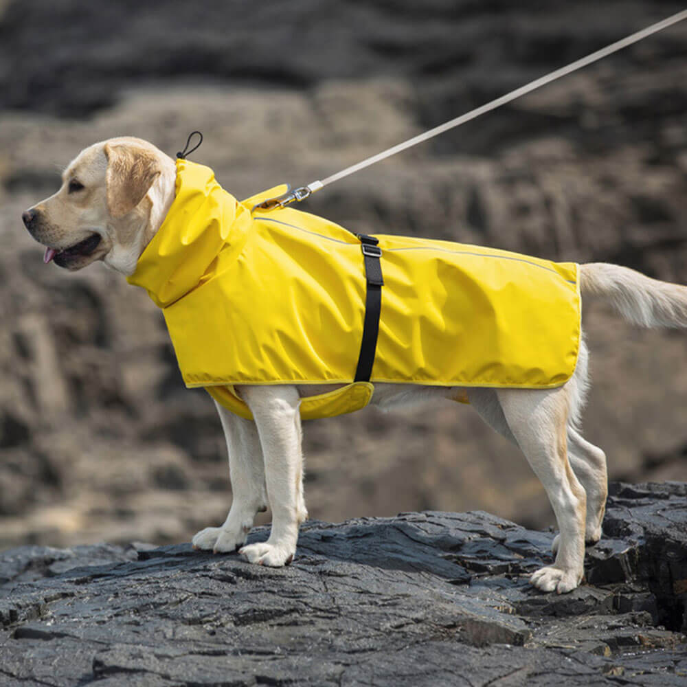 Chubasquero impermeable amarillo para perros con capucha: mantenga a su perro seco y cómodo