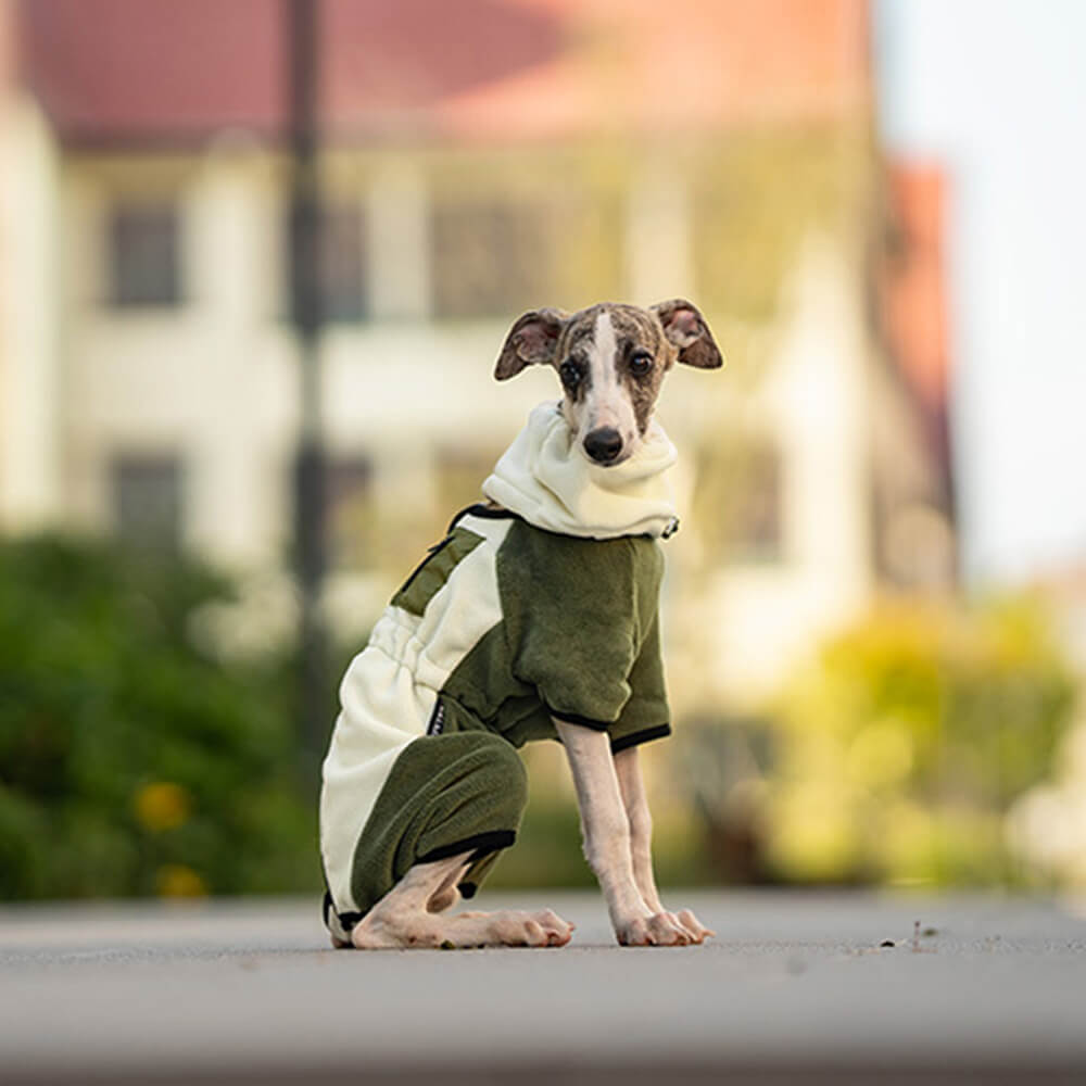 Vollständig bedeckender Hunde-Einteiler aus Polarfleece mit abnehmbarem Halsband