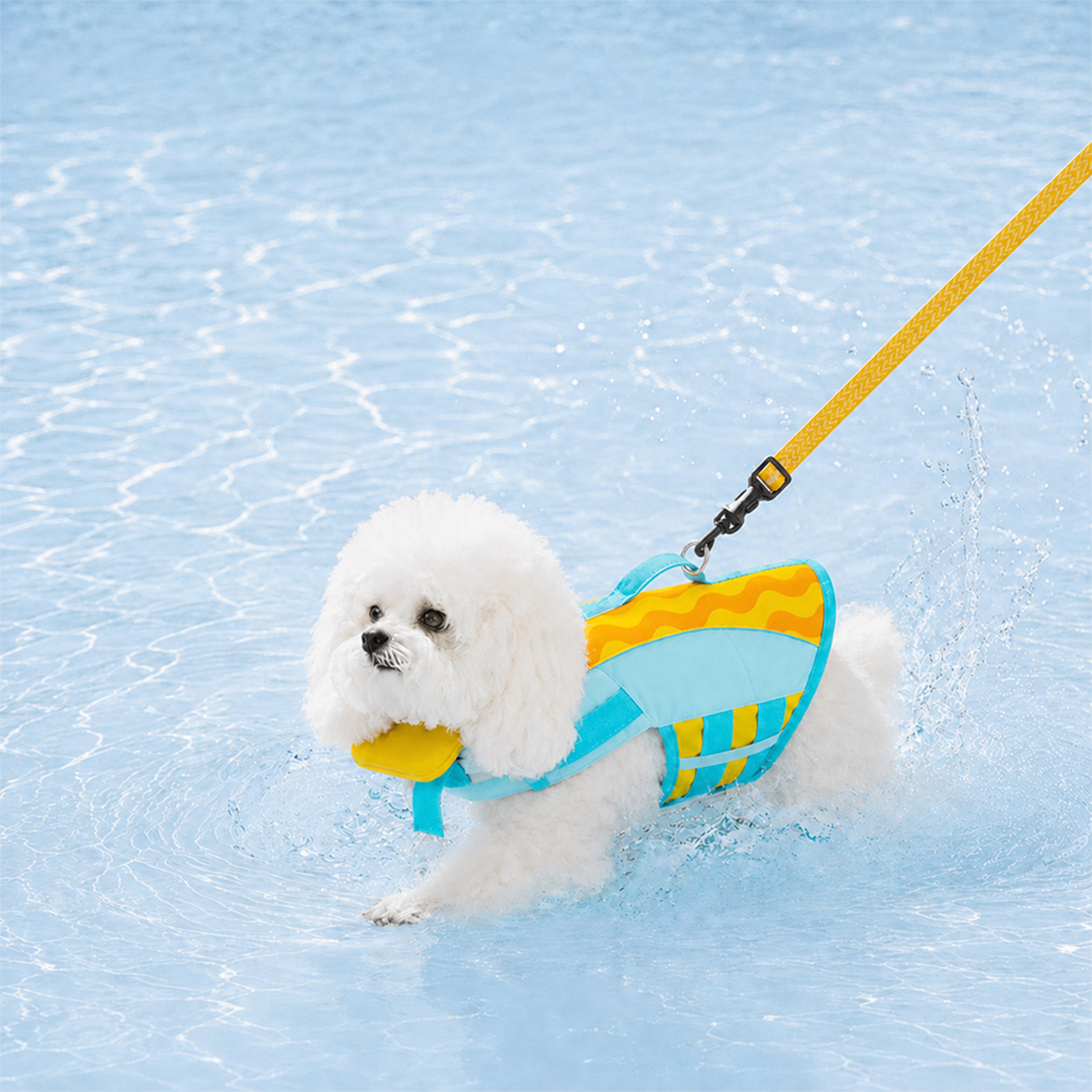 Stylish Color-Blocked Dog Life Jacket