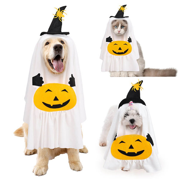 Kreatives Kürbisgeist-Halloween-Kostüm für Hunde