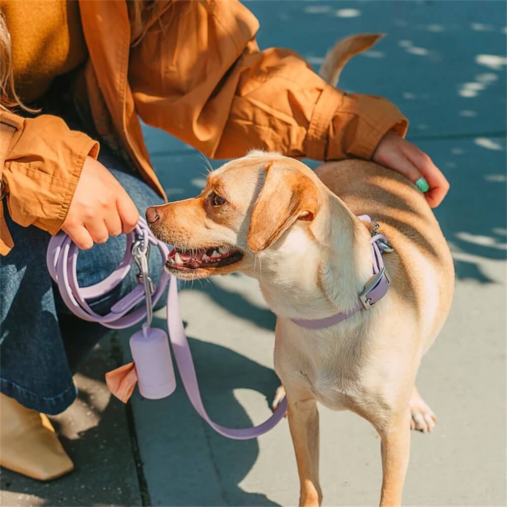 Cuerda de tracción para perros impermeable de PVC | Dispensador y collar de arnés de color Macron duraderos