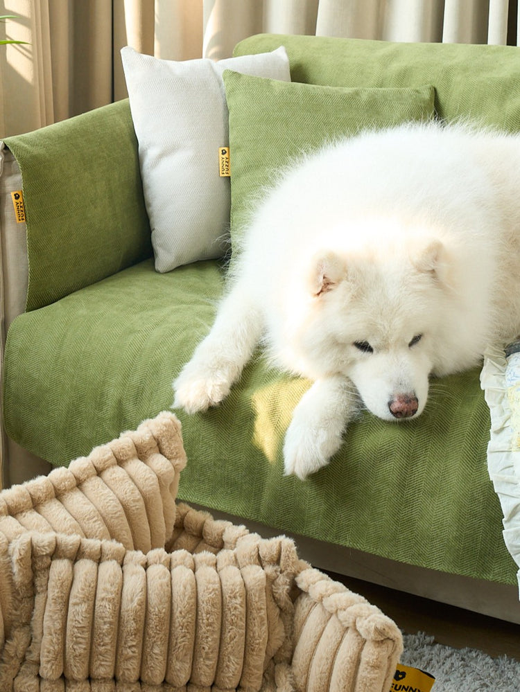 One Color Pet Color Your Pet’s World