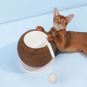 Aiguisoir à griffes pour chat en noix de coco