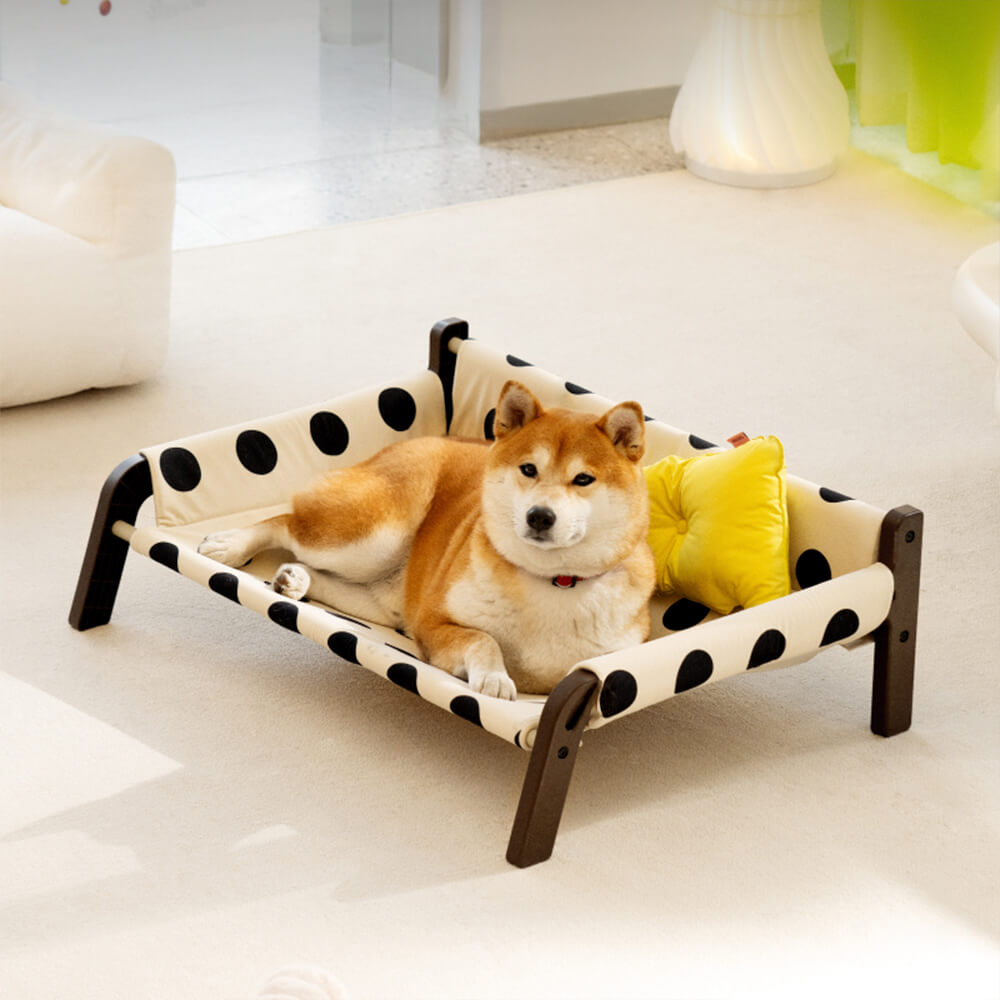 Cool dog furniture hotsell