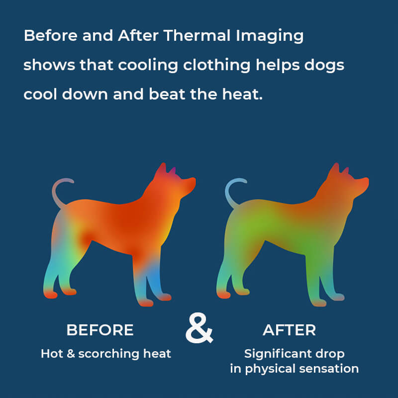 Camisas para cães de quatro patas de secagem rápida Colete de resfriamento para cães