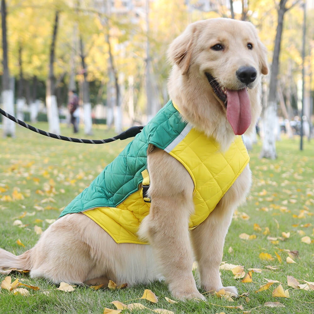 Veste matelassée réglable pour chien – Chaude et sûre pour les promenades hivernales