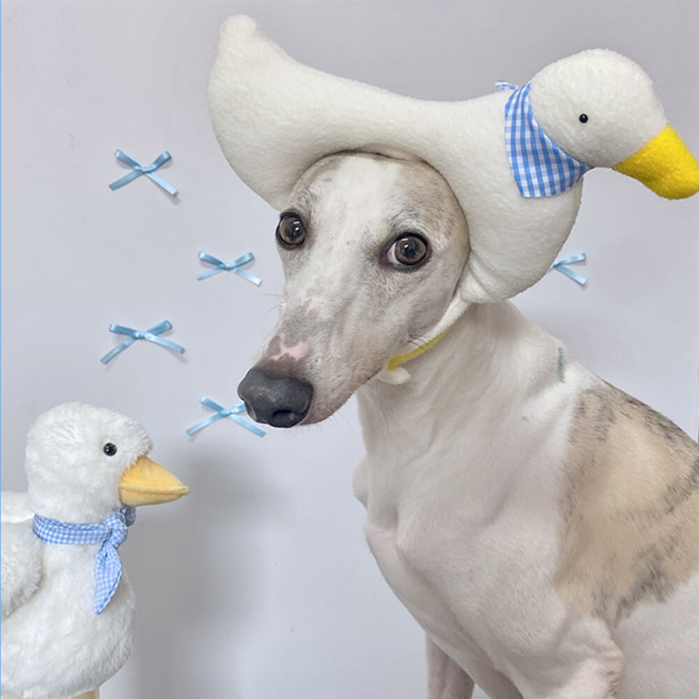 Sombrero para mascota disfraz de Halloween de murciélago unicornio flamenco