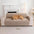 Water-Repellent Solid Color One Piece Couch Cover with Elastic Straps