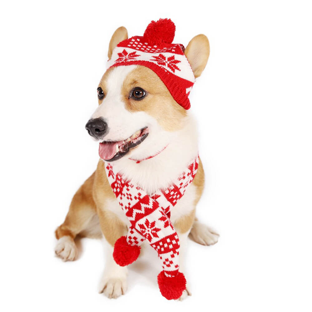 Knitted Christmas Snowflake Warm Dog Hat Scarf Set