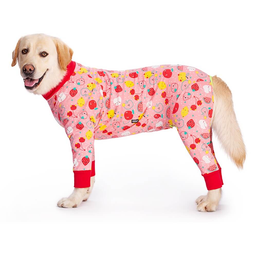 Large girl dog clothes sale