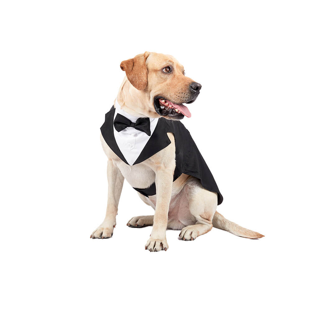 Pet Dog Clothes Wedding Bow Tie Suit Dress