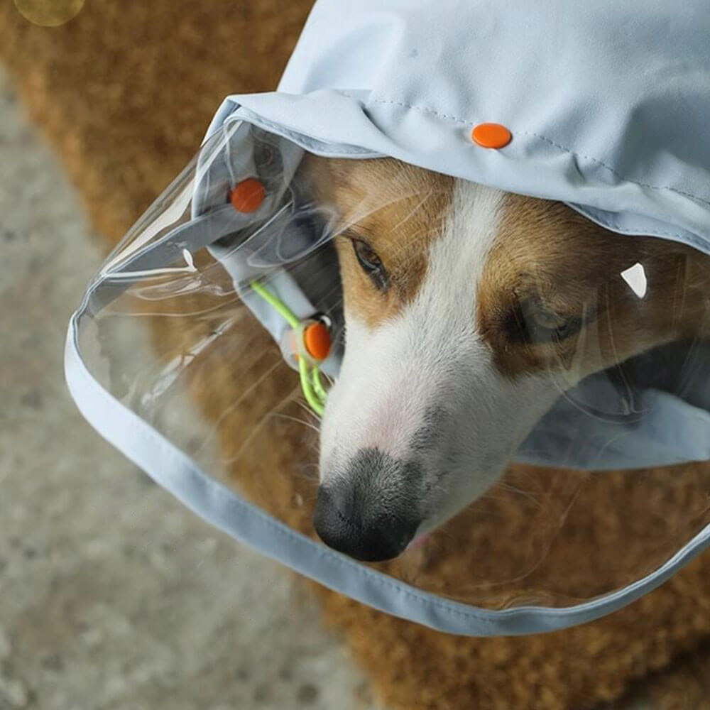 Chubasquero para perro con banda para el vientre, transparente, ala grande para máxima protección