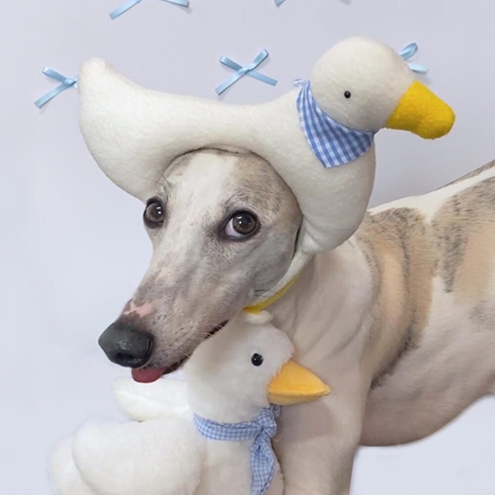 Sombrero para mascota disfraz de Halloween de murciélago unicornio flamenco