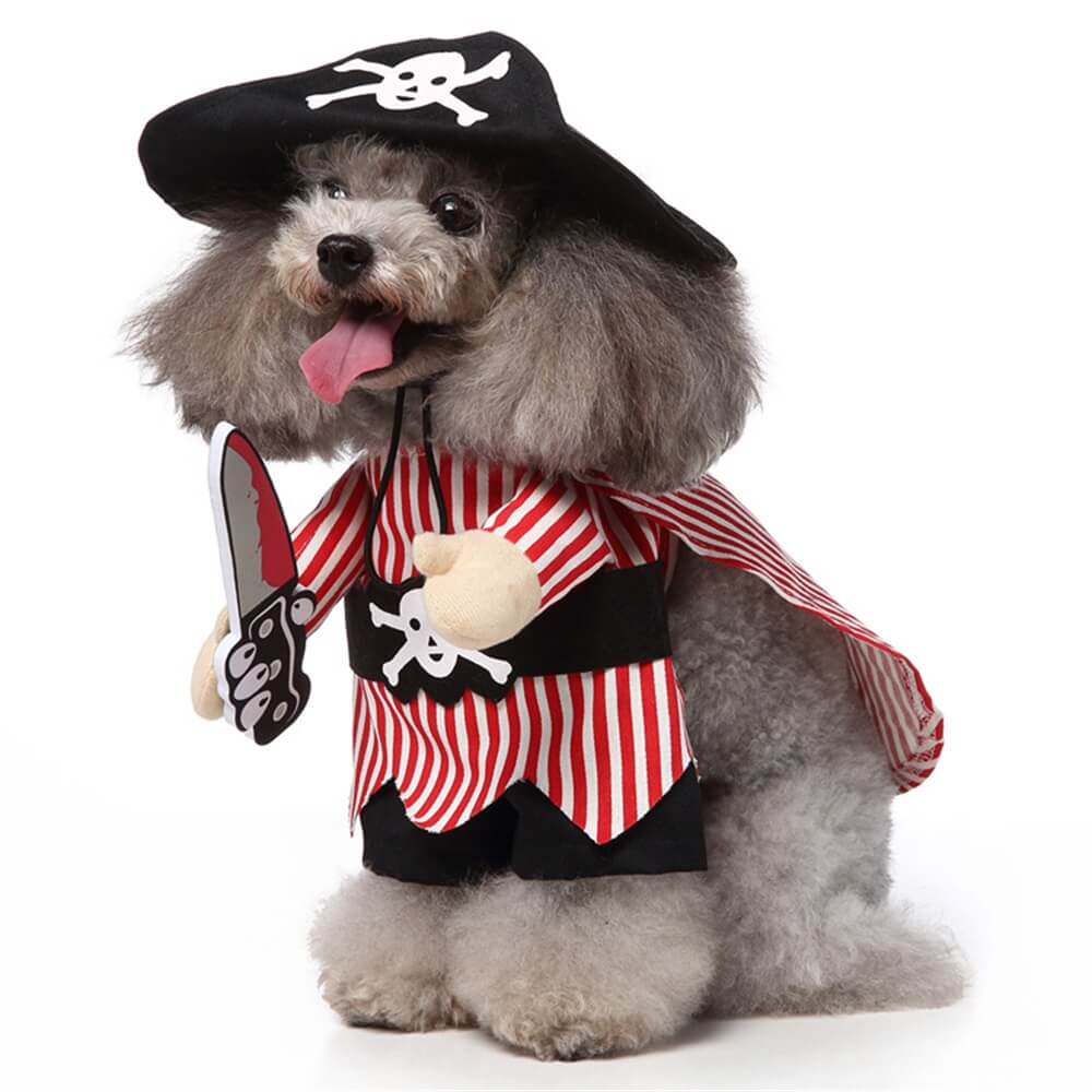 Disfraces divertidos de Halloween para perros cosplay: trajes divertidos y adorables para mascotas