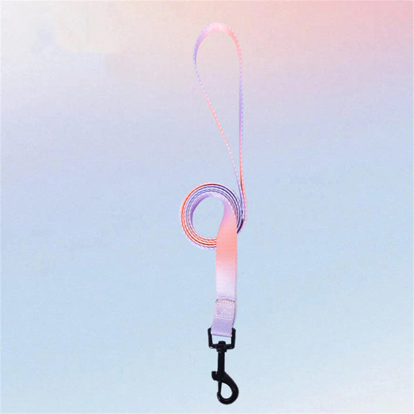 Colorful Gradient Dog Traction Rope and Chest Harness - Anti-Breakaway Design