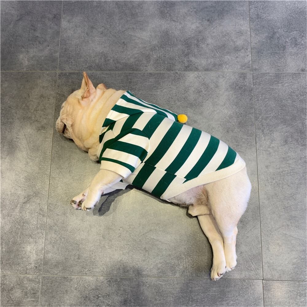 Striped Green Hoodie for Dogs with Pom-Pom Accent - Cozy & Cute Pet Apparel