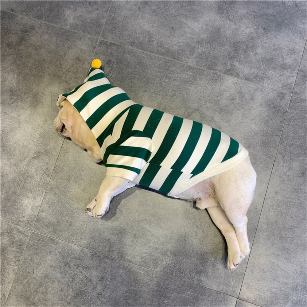 Striped Green Hoodie for Dogs with Pom-Pom Accent - Cozy & Cute Pet Apparel