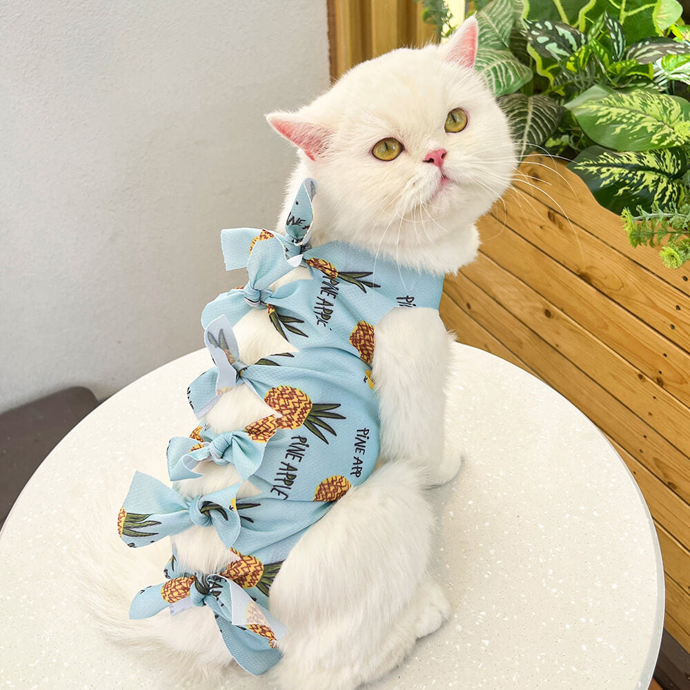 Vestido de gato con lazo en la espalda: elegante y adorable atuendo para mascotas